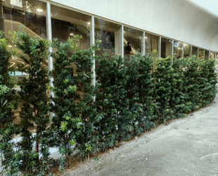 植栽綠籬與館內空間相互呼應