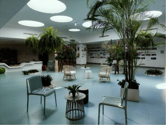 透過綠色植栽於行政空間打造星空樹廣場